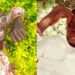 “I promise I won’t take you for granted and will welcome you like a Queen” – Benue man vows as he seeks a girlfriend