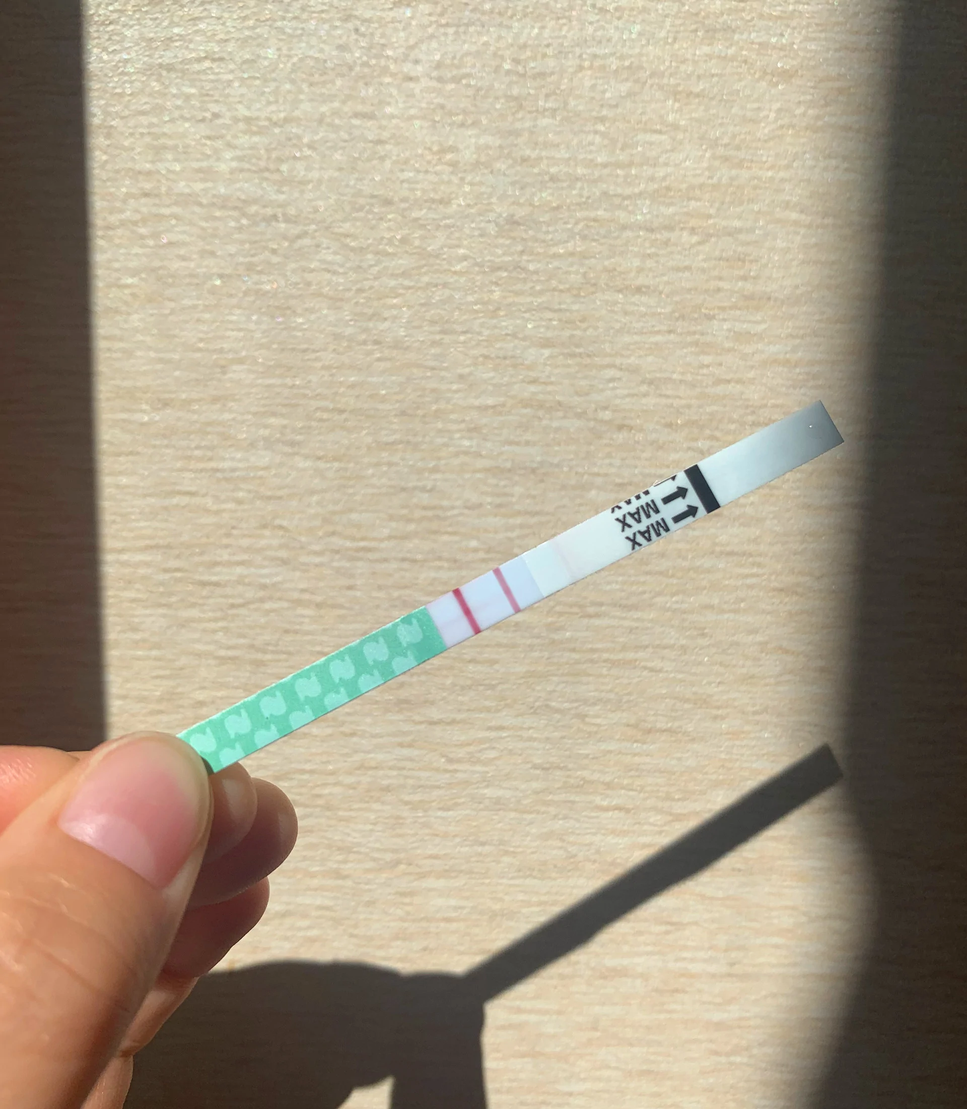 what does a positive pregnancy test strip look like natalist