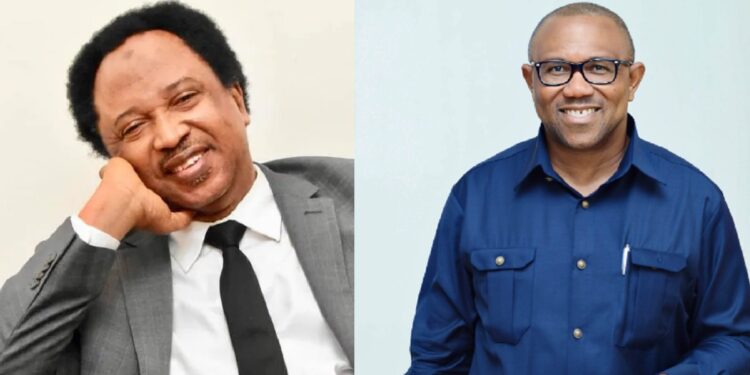 Senator Shehu Sani teases