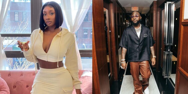Davido’s alleged 5th baby mama, Anita Brown set to release diss track titled ‘Womanizer’ (Video)