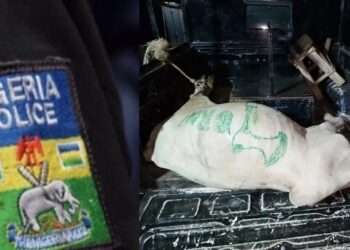 Police arrest cow belonging to cultists in Osun