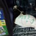 Police arrest cow belonging to cultists in Osun