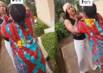 Two domestic workers exchange fists after one alleged that their boss’ child belongs to someone else (Video)