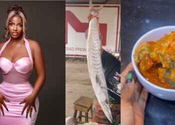 “Someone’s salary for a meal” – Reactions as Hilda Baci makes soup with N60K fish (Video)