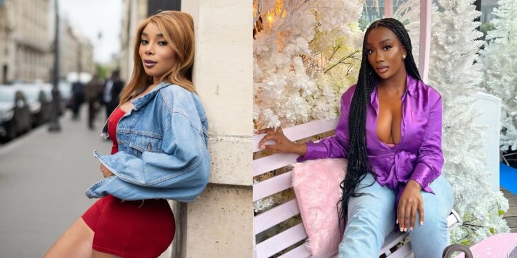 “You’re going too far, be quiet please” – Davido’s alleged pregnant French side chick cautions her American counterpart