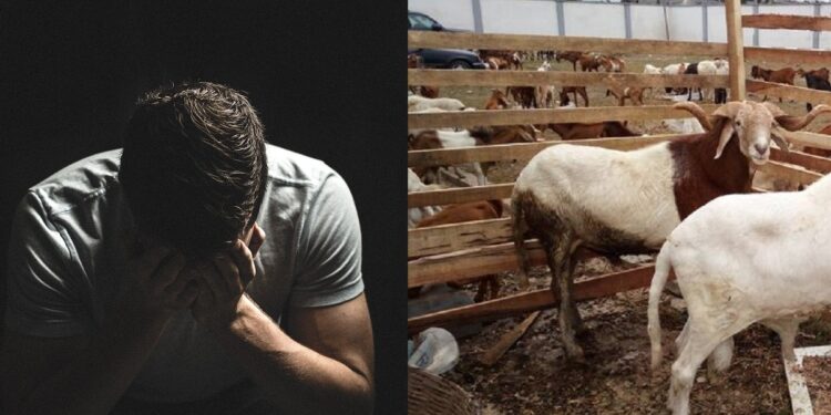Man in debt cries as wife refuses to cook for children or talk to him over failure to buy sallah ram for the first time