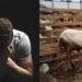 Man in debt cries as wife refuses to cook for children or talk to him over failure to buy sallah ram for the first time