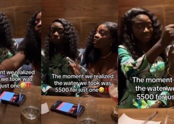 “Use the bottle as flower vase” – Reactions as lady buys a bottle of water for N5500 (Video)