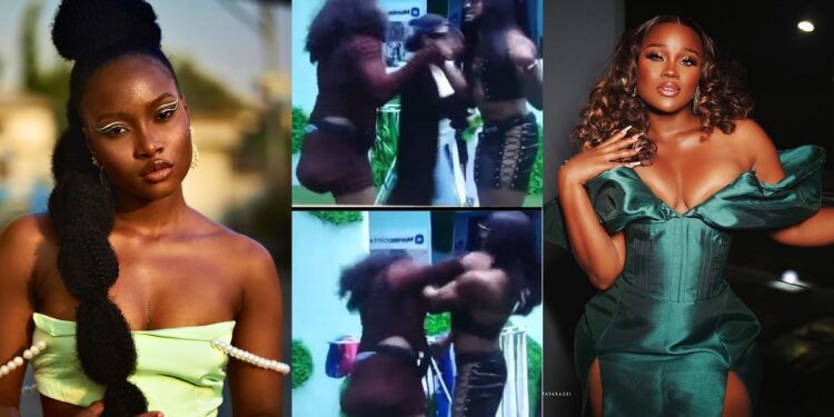 Hilarious moment Cross and Ike reenacted CeeC-Ilebaye’s fight (Video)
