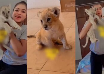Netizens puzzled