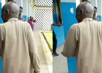 84-year-old man allegedly