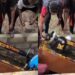 “Sew till thy kingdom come” – Reactions as tailor is buried inside sewing machine shaped coffin (Video)