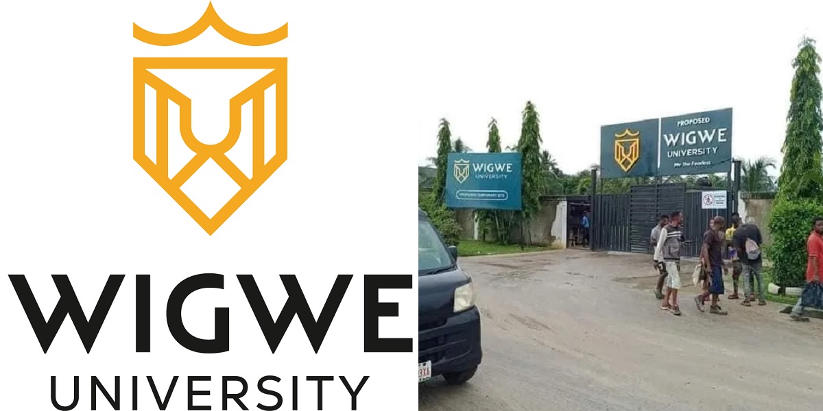 Wigwe University Debunks