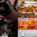 Nigerian photographer shares revenge he took on bride’s sister for embarrassing him after he asked for food