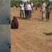 Nigerian woman sentenced to dɘath in Iraq seeks urgent government intervention