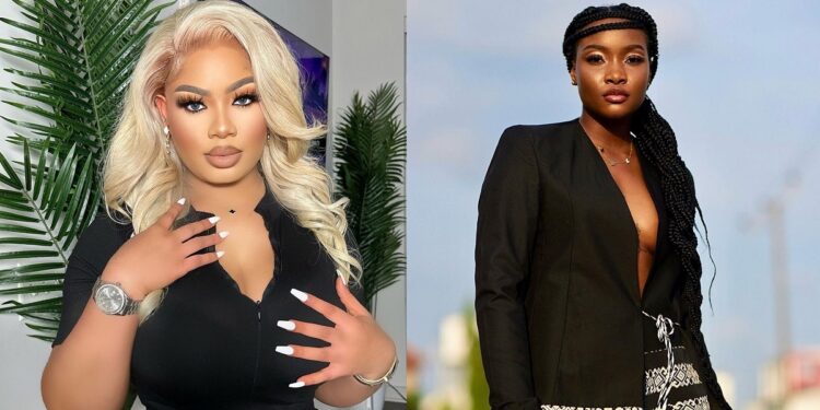 “Next housemates go use emotional blackmail finish una” – Nina Ivy reacts following Ilebaye’s win