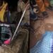18-Year-Old Girl Tragically Dies After Jumping Into Well In Kwara State