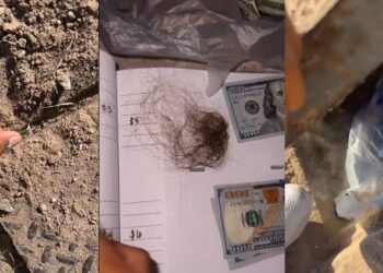 “Put that back, it’s a paper route” – Netizens advise vlogger after he found money hidden underground (VIDEO)