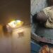 Failed Break-In: Suspected Burglar Falls Through Ceiling, Breaks Leg