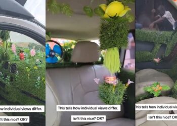 “Moana don finally get car” – Netizens react to video of man designing the interiors of his car with grass