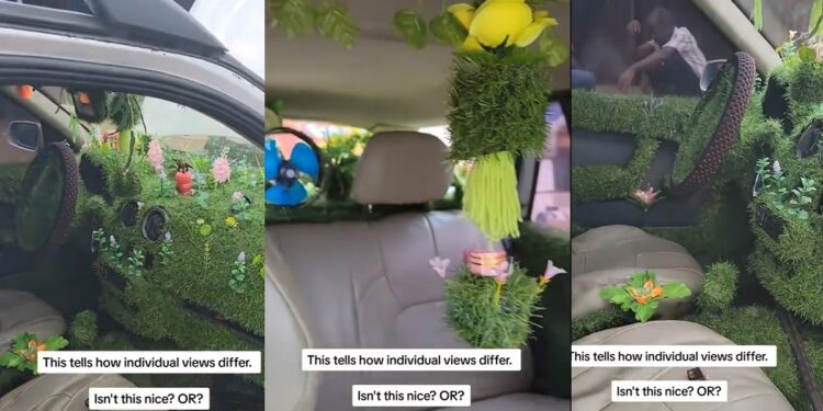 “Moana don finally get car” – Netizens react to video of man designing the interiors of his car with grass
