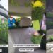“Moana don finally get car” – Netizens react to video of man designing the interiors of his car with grass