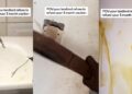 “Kuku un-caution his house” – Nigerian lady damages landlords property after he refused to refund her caution fee (VIDEO)