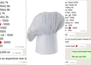 “Na two families you dey fund” – Reactions as Nigerian man shares screenshot of food list his cook sent to him