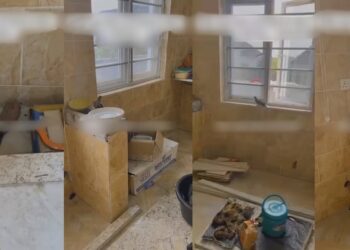 Residents pray fervently as ‘evil bird’ enters their kitchen despite all windows being closed (video)