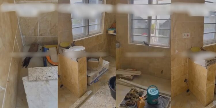 Residents pray fervently as ‘evil bird’ enters their kitchen despite all windows being closed (video)
