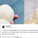 “Fufu is now 100 naira per wrap, This is my own last straw ” – Nigerian man clamors for protest
