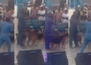 Man Walks Into Neighbouring Church With His Dogs In Hand To Confront Church Goers Over Noise Pollution Complaints (VIDEO)