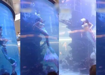 Professional Mermaid’s Tail Gets Trapped In Shopping Mall Aquarium As She Struggles For Air (VIDEO)