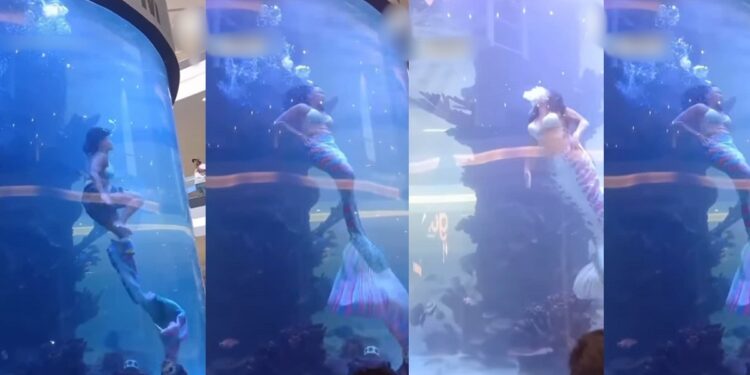 Professional Mermaid’s Tail Gets Trapped In Shopping Mall Aquarium As She Struggles For Air (VIDEO)