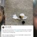 Nigerian lady narrates how hotel security assaulted her and her husband for taking food they bought outside into the hotel