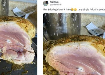  Nigerian Man’s Tweet About His British Girlfriend’s Chicken Dish Goes Viral