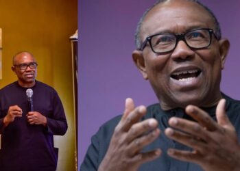Peter Obi queries