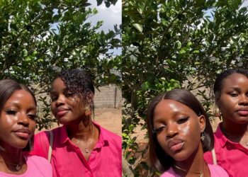 “Who’s you, who’s your mom” – Netizens react to striking resemblance between a lady and her mum