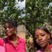 “Who’s you, who’s your mom” – Netizens react to striking resemblance between a lady and her mum