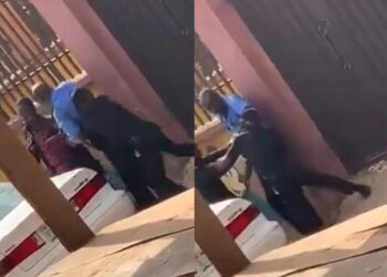 Two uniformed police officers publicly exchange blows (Video)