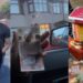 Nigerians react to video of lady who shared what the minimum wage per hour in the UK will get you (VIDEO)