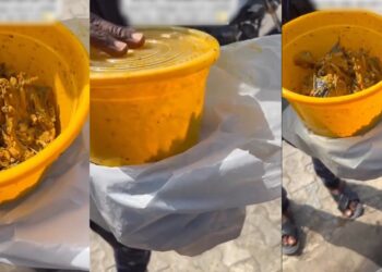 “He still has the audacity to deliver it” – Dispatch rider who was sent to deliver a bowl of catfish and banga soup eats it all (VIDEO)