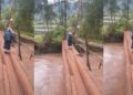 Viral Video Of Brave Little Girl Crossing Dilapidated Bridge Sparks Debate Online (WATCH)