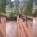 Viral Video Of Brave Little Girl Crossing Dilapidated Bridge Sparks Debate Online (WATCH)
