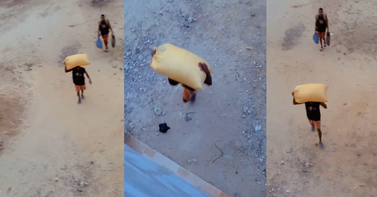 “This semester go stew” — Reactions as a male student arrives his school hostel with a bag of garri (video)