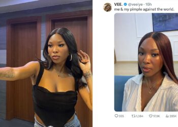 BBNaija Star, Vee Fires Back At Trolling Follower Over Pimple Comment