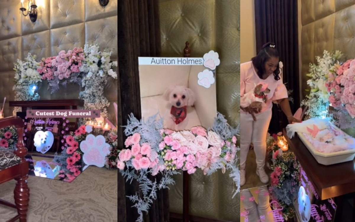 Mixed Reactions Trail Online As Man Organizes Elaborate Funeral For His