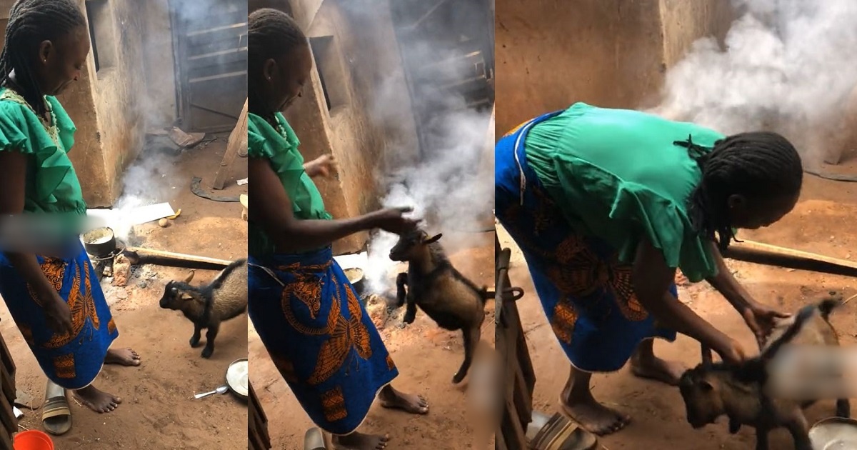 goat must chop