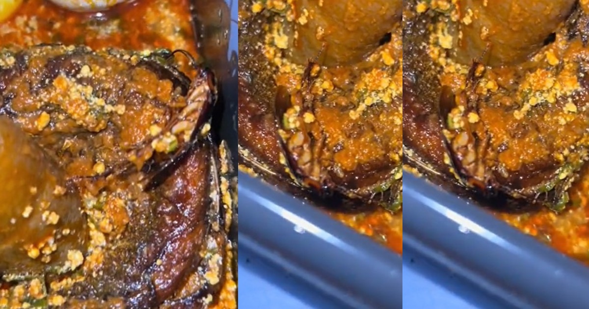 "Na extra meat" – Lady cries out as she discovers cockroach in the food