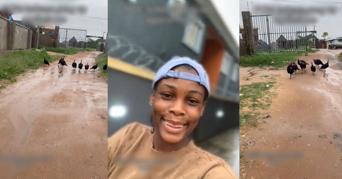“Why you chop their number one” – Reaction as a group of Turkeys blocks the way of a lady and attempts to chase her (VIDEO) thumbnail